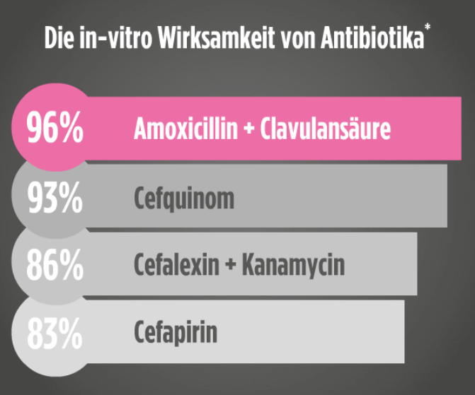 Die in-vitro- Wirksamkeit von Antibiotika