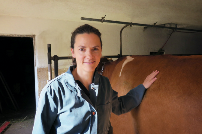 Mastitis modern therapieren